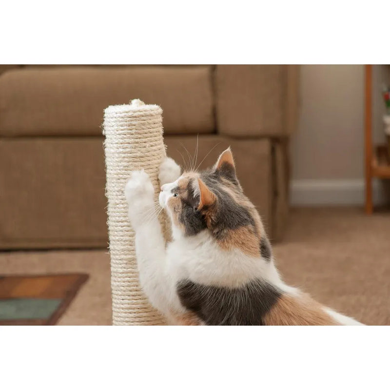 A cat stretches its front paws while scratching a sisal scratching post, enjoying the activity in a cozy living room.