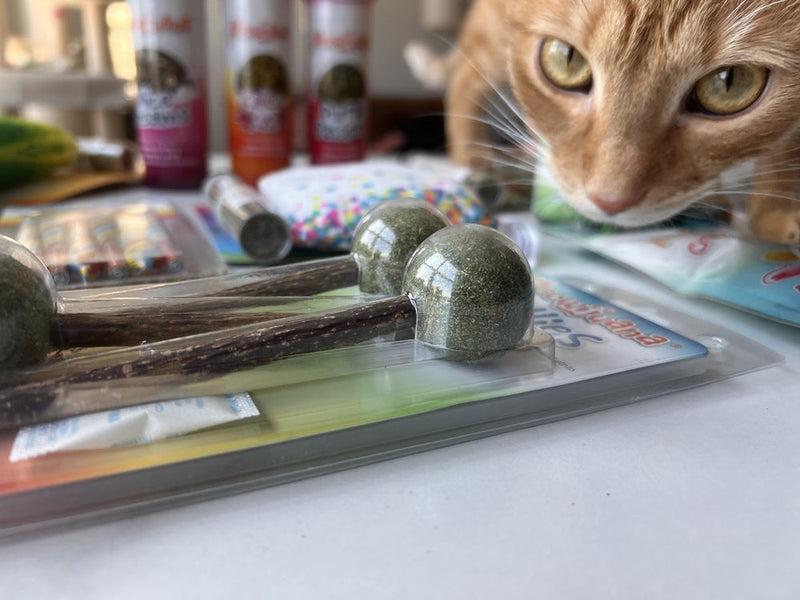 Unique Cat Gifts That Include Catnip and Silvervine