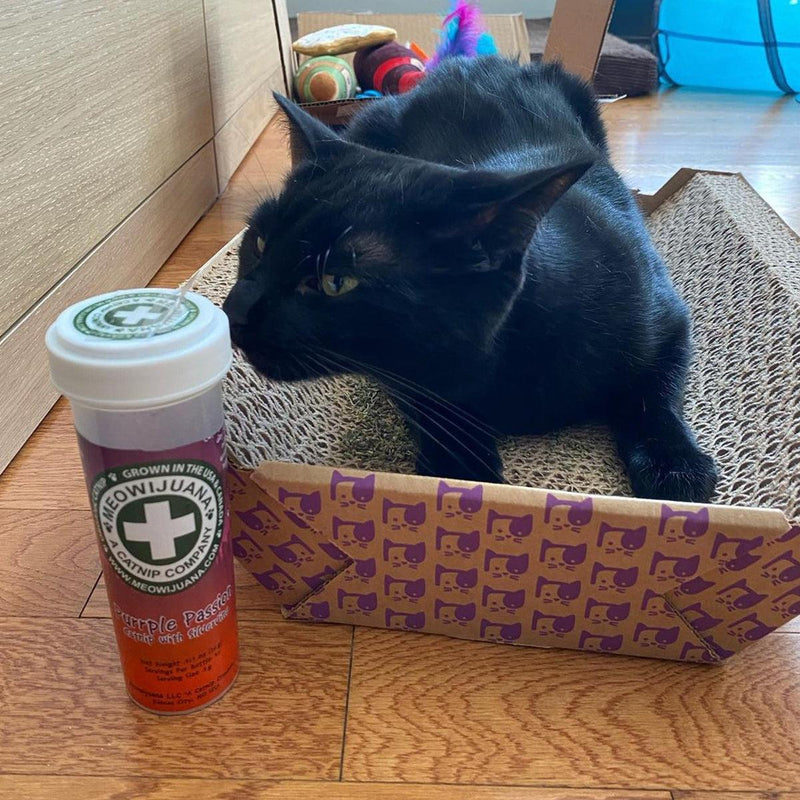 What Silvervine Does to Cats (And Why 80% Respond)
