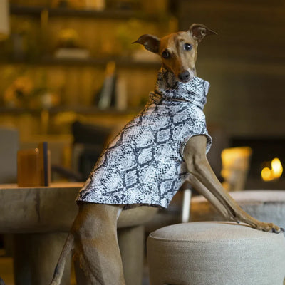 10 Insta-Famous Canines You'll Love