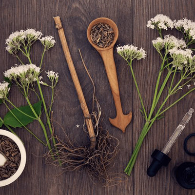All About Valerian Root
