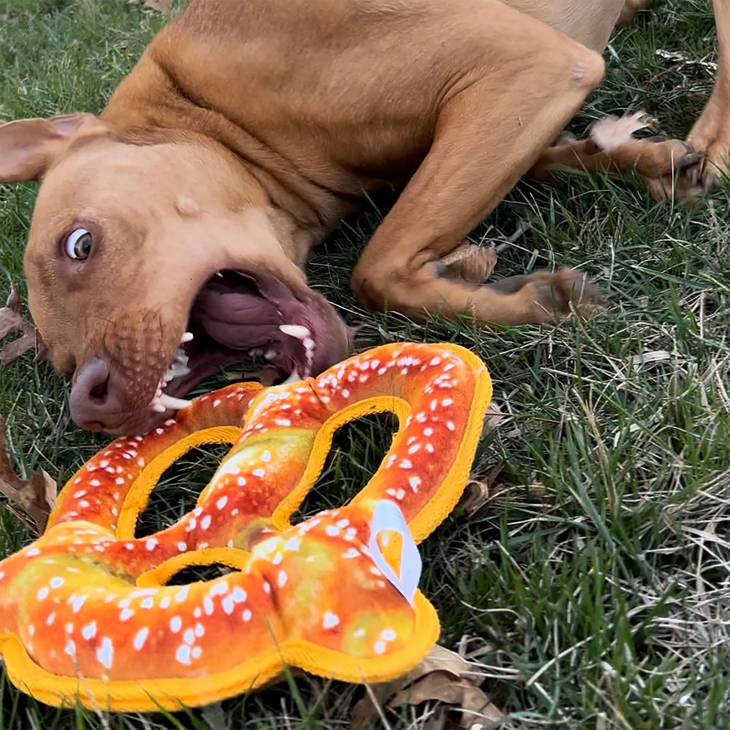 Playful dog enthusiastically chewing Doggijuana Pretzel Toy outdoors, promoting stress-free play with durable materials and calming effects.