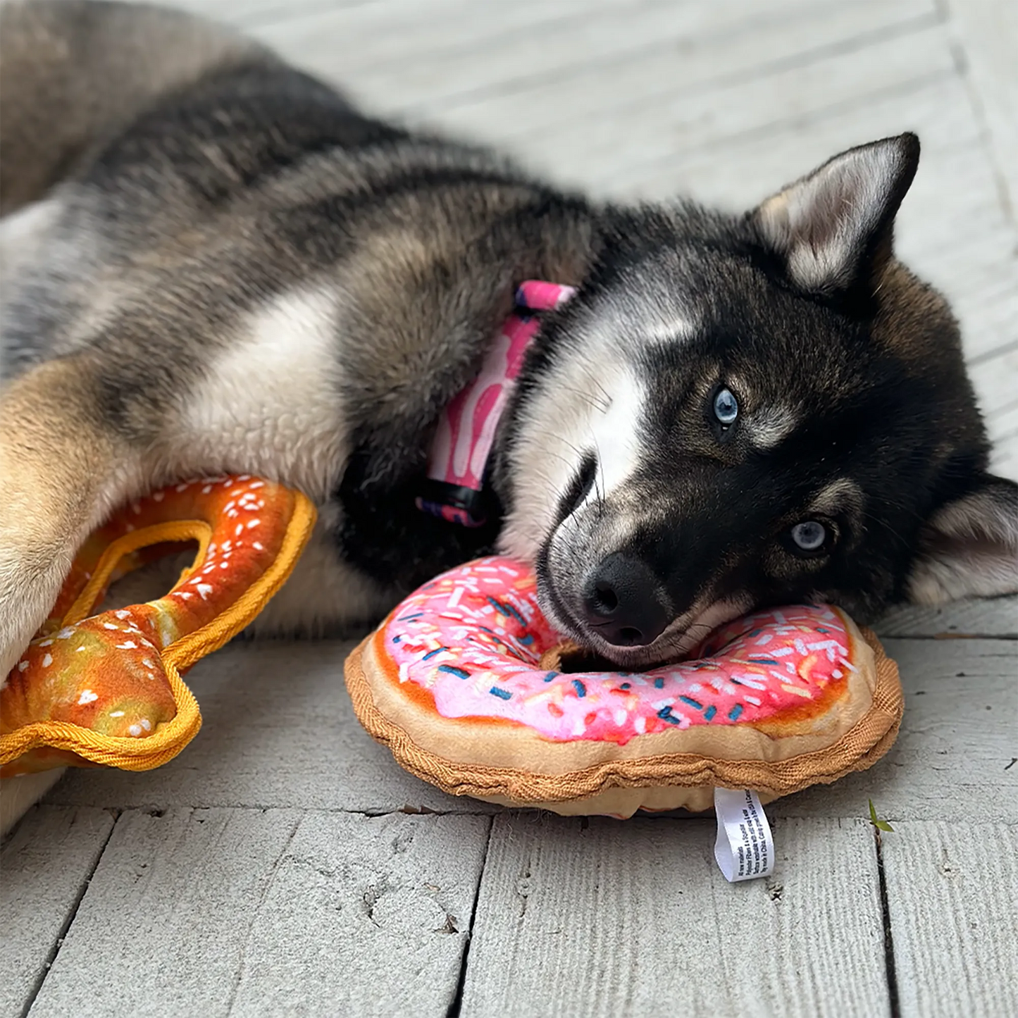 Dog relaxing while chewing on a donut-shaped toy filled with Juananip, promoting calm playtime with its durable rope core and squeaker.