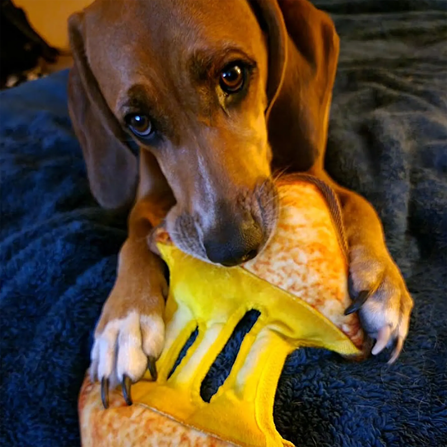 Close-up of a dog enjoying the calming Juananip infused grilled cheese chew toy, a perfect way to encourage relaxation through chewing.