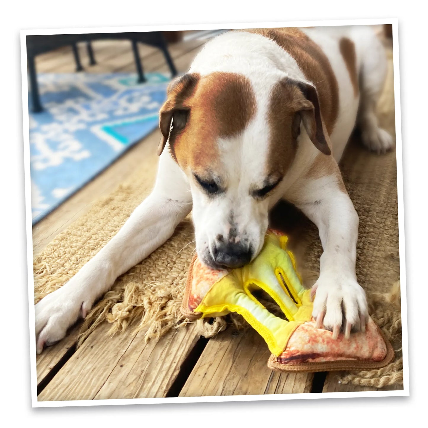 Tuffer Chewer Doggi Duo Bundle - Grilled Cheese & Juananip