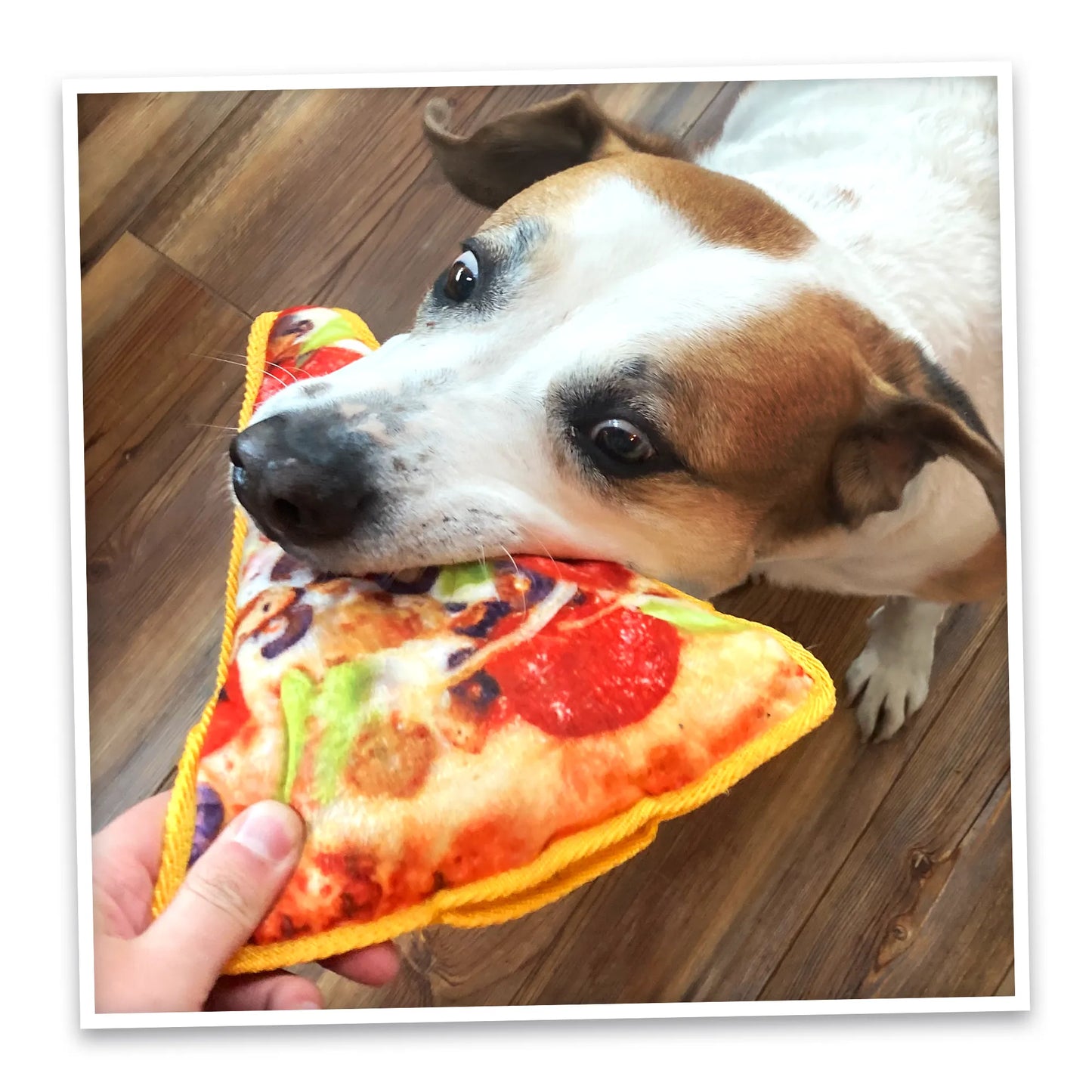Tuffer Chewer Doggi Duo Bundle - Supreme Pizza & Juananip