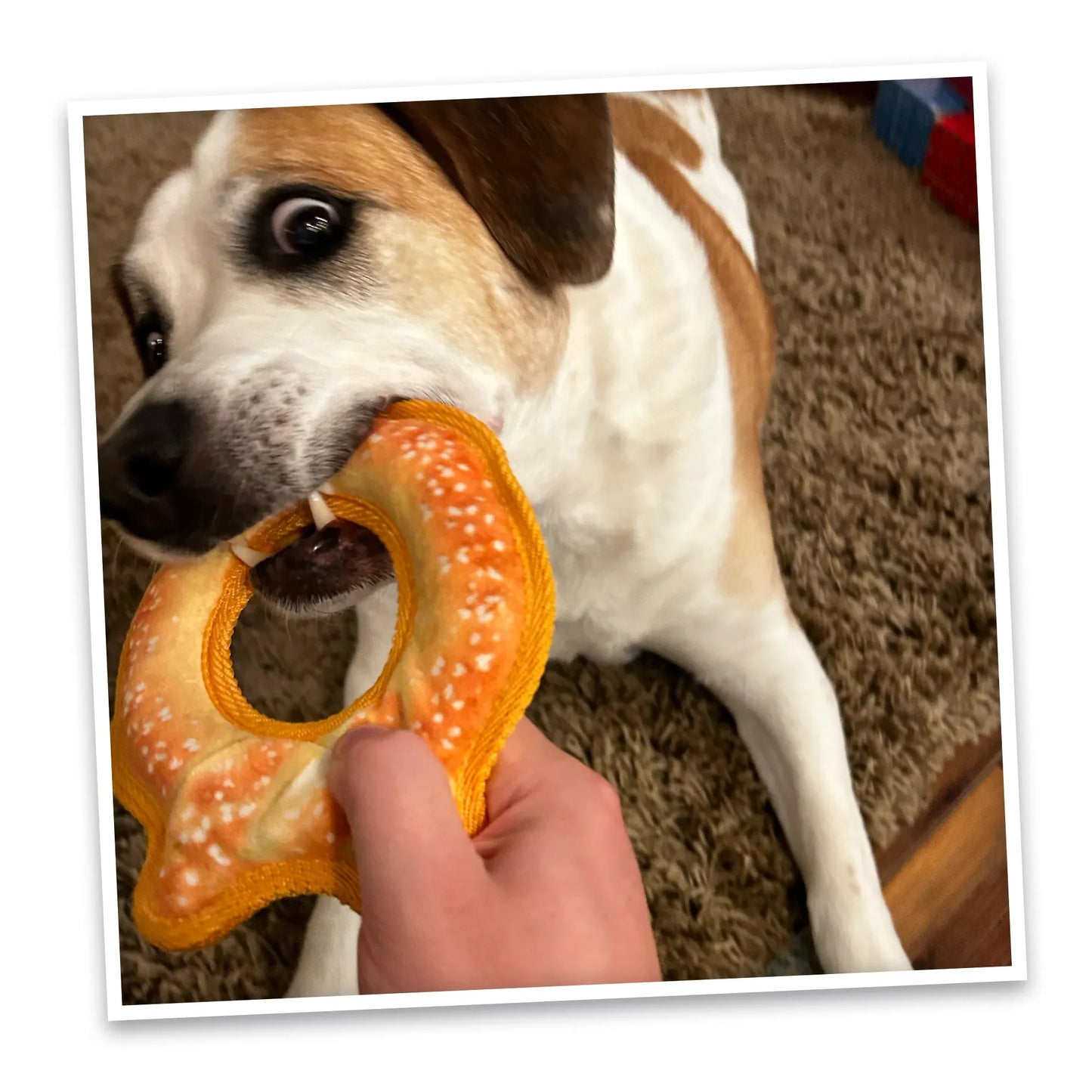 Tuffer Chewer Mini Doggi Duo Bundle - Pretzel Ring & Juananip