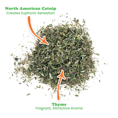 Close-up of Thyme Out blend highlighting North American catnip and thyme, showcasing their aromatic benefits.