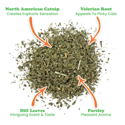 Detailed view of catnip blend highlighting individual ingredients.