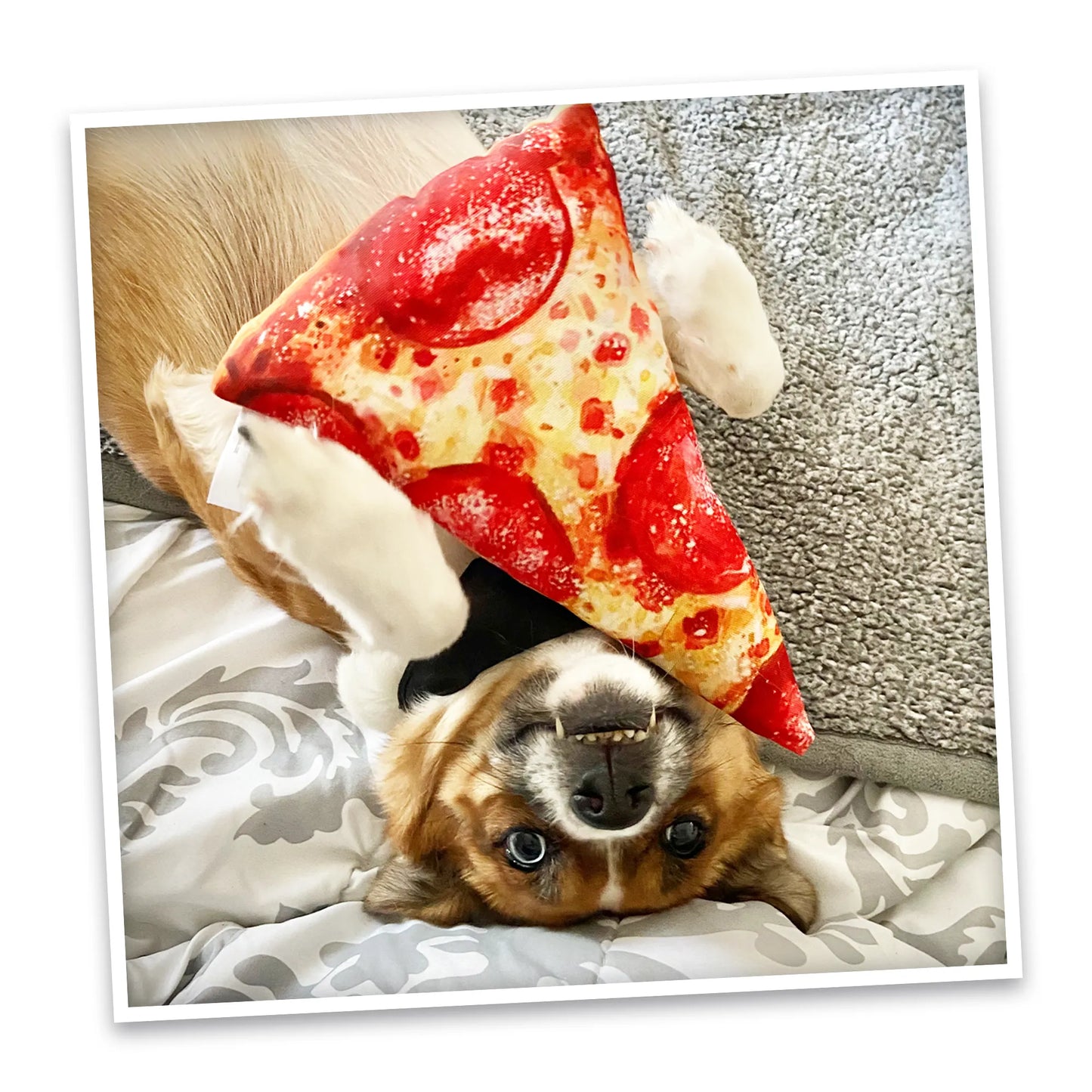 Get the Munchies Pizza Slice Refillable Dog Toy