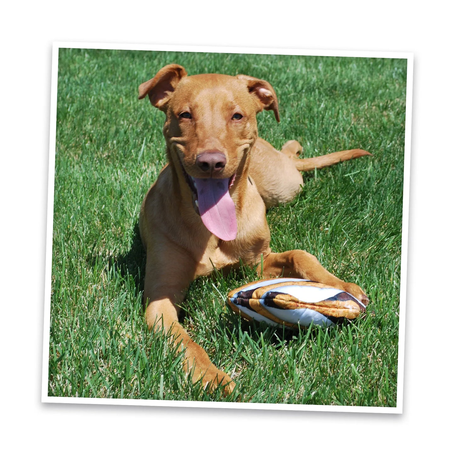 Get Outside S'more Refillable Dog Toy