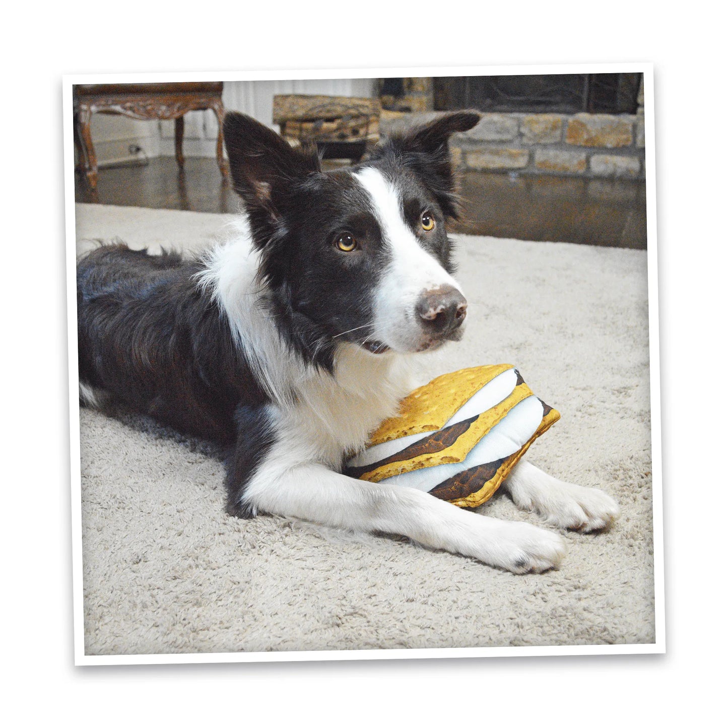 Get Outside S'more Refillable Dog Toy