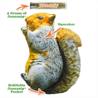 Get Outside Squirrel Refillable Dog Toy