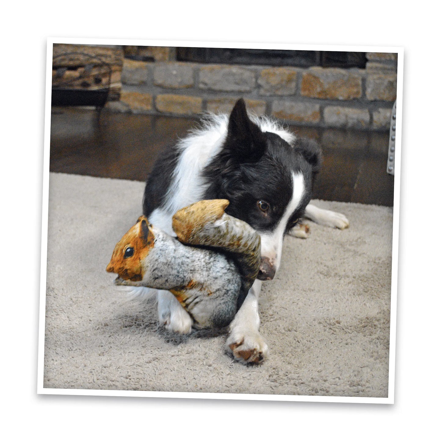 Get Outside Squirrel Refillable Dog Toy