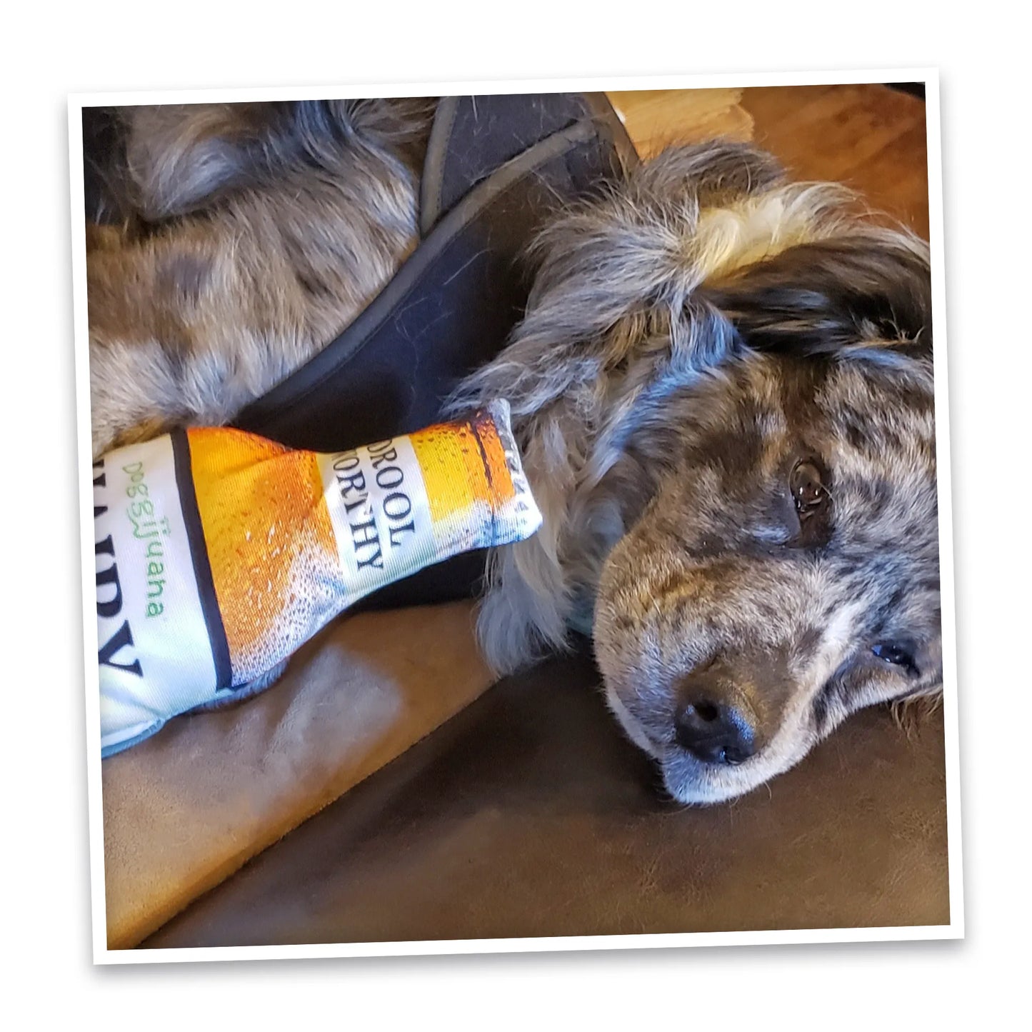 Get the Pawty Started Hairy Ale Refillable Dog Toy