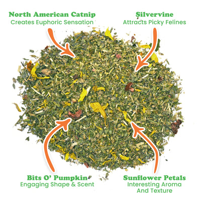 Close-up of Harvest Moon catnip blend with catnip, silvervine, pumpkin bits, and sunflower petals highlighted for sensory appeal.