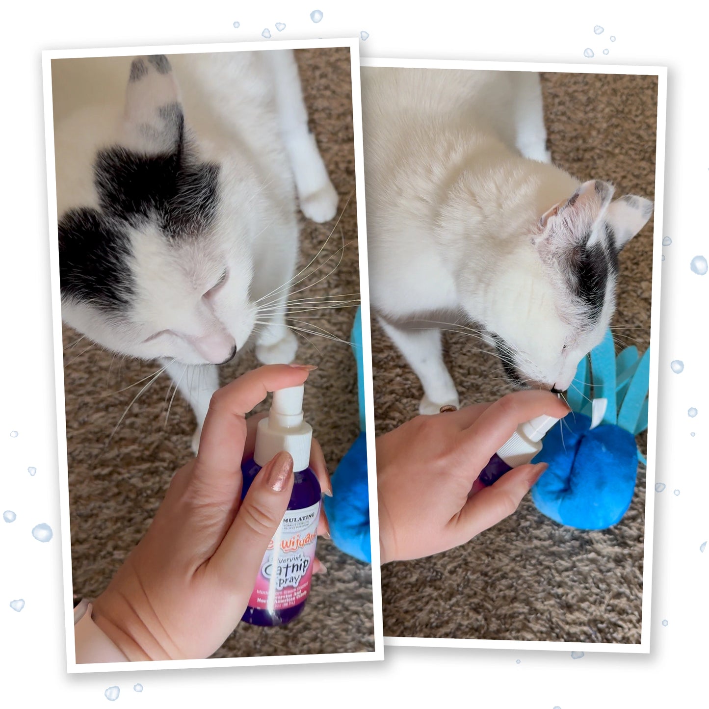 Meowijuana catnip spray trio bundle