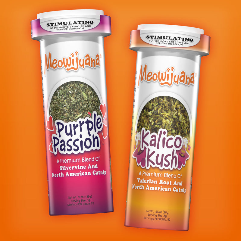 Stimulating Catnip Blends