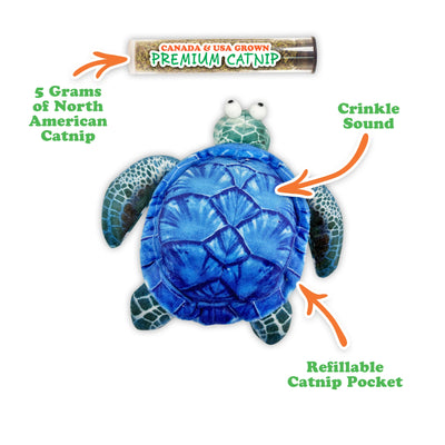 Get Salty Sea Turtle