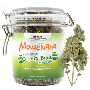 Jar Catnibas® Catnip Buds