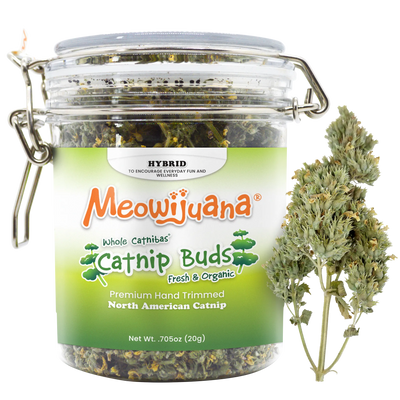 Meowijuana Catnip Buds jar with premium hand-trimmed North American catnip for cats' enjoyment.