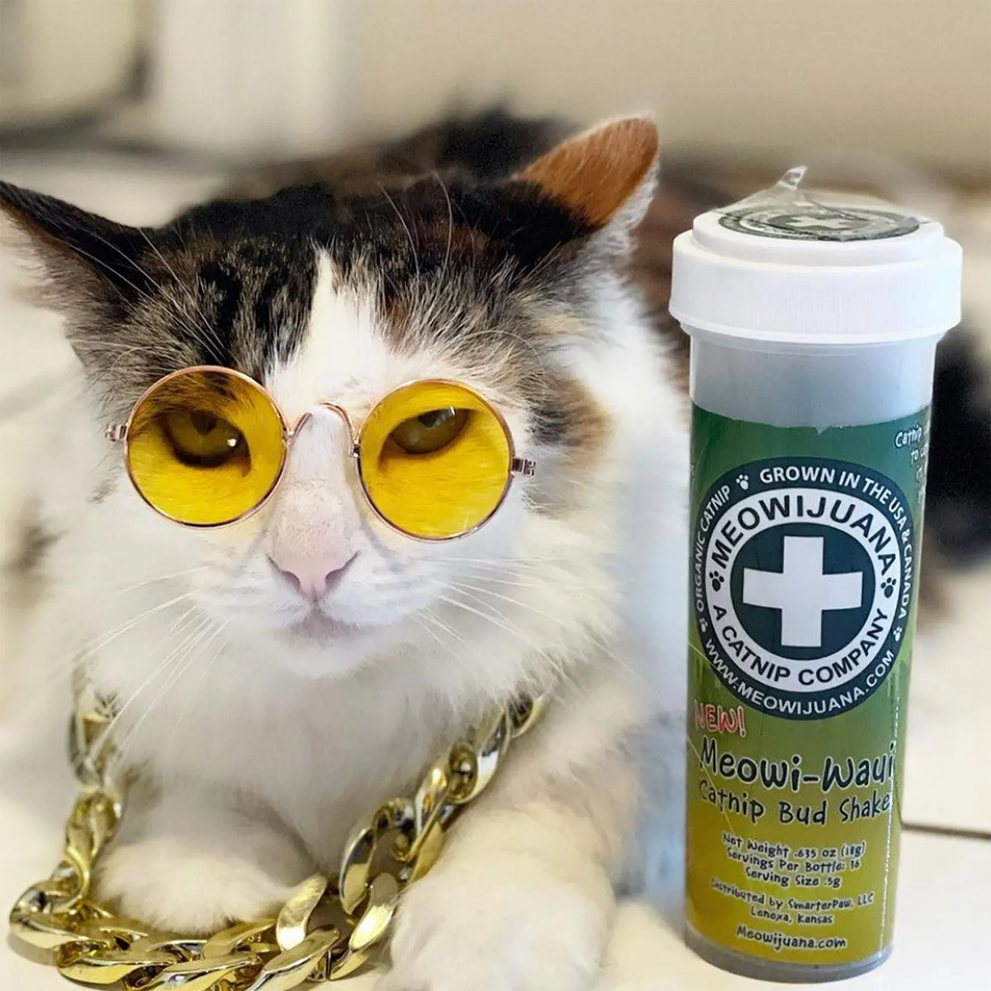 White and calico cat wearing yellow glasses and a gold chain next to Meowi-Waui catnip, exuding a "cool" attitude.