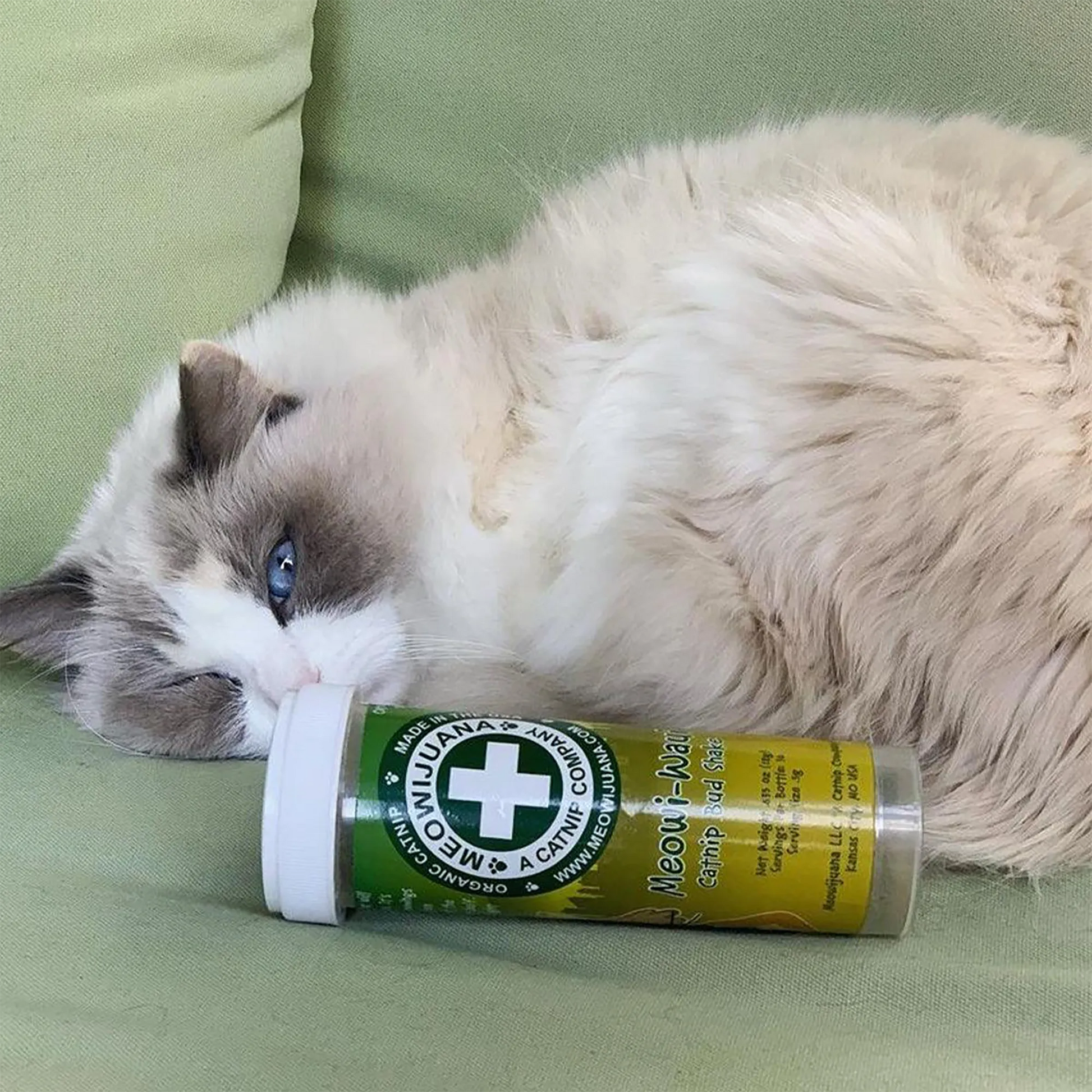 Fluffy white and gray cat resting on a green couch with a Meowi-Waui catnip container, appearing content and relaxed.