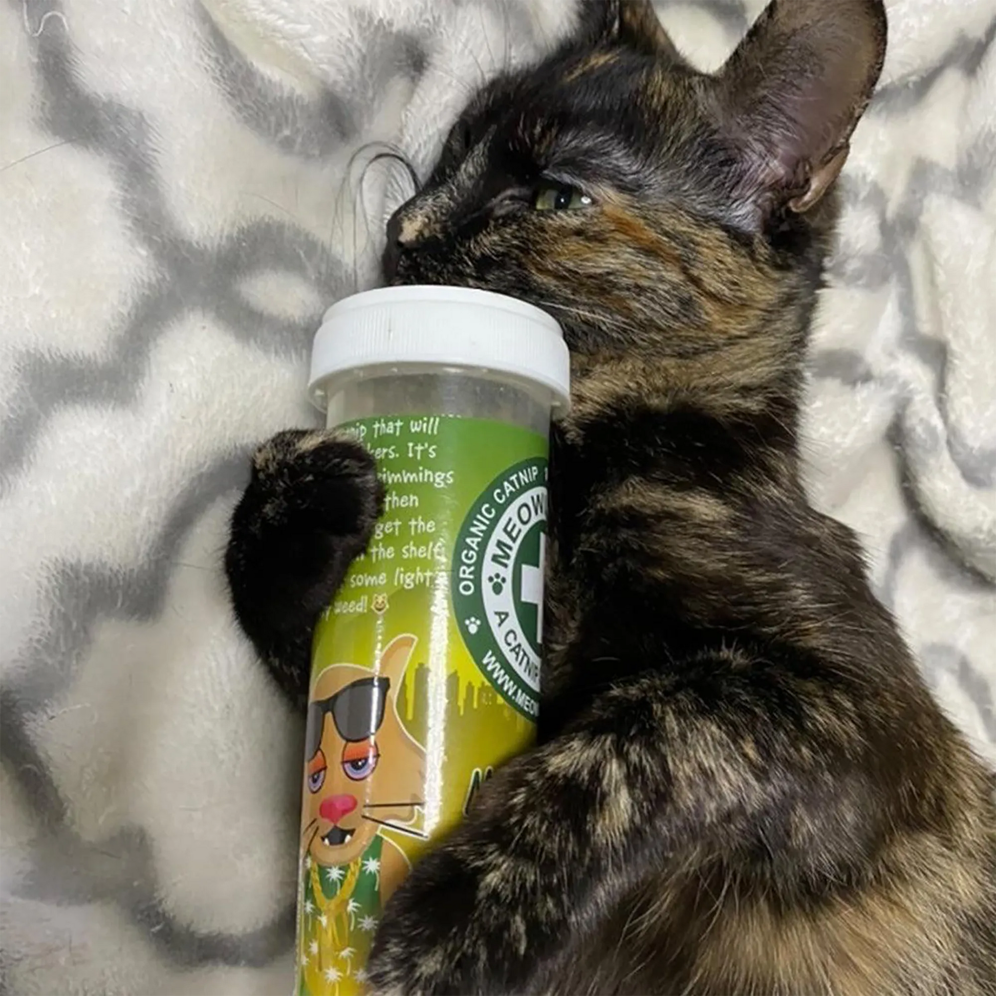 Tortoiseshell cat lying down, holding a Meowi-Waui container, appearing relaxed and happy with the catnip.