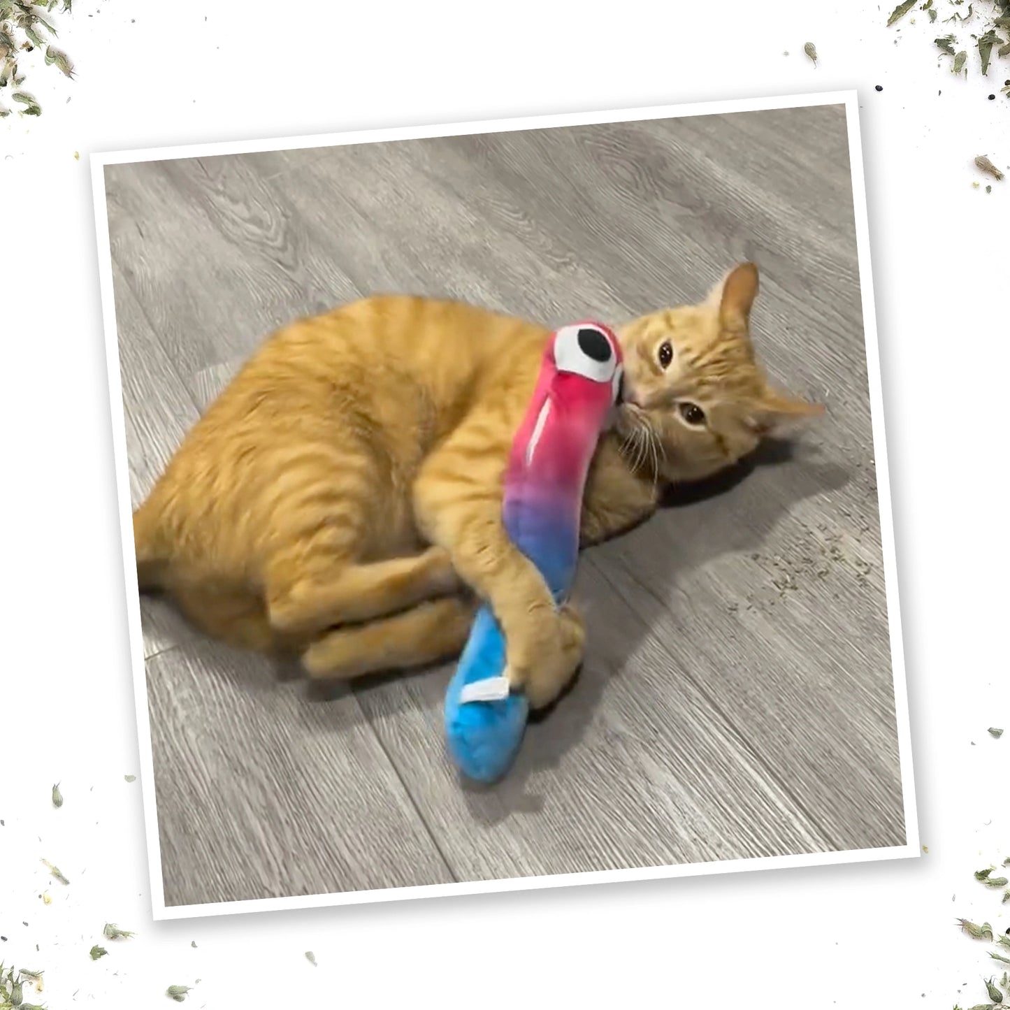 Meowijuana gummy worm & treat bear cat toy bundle