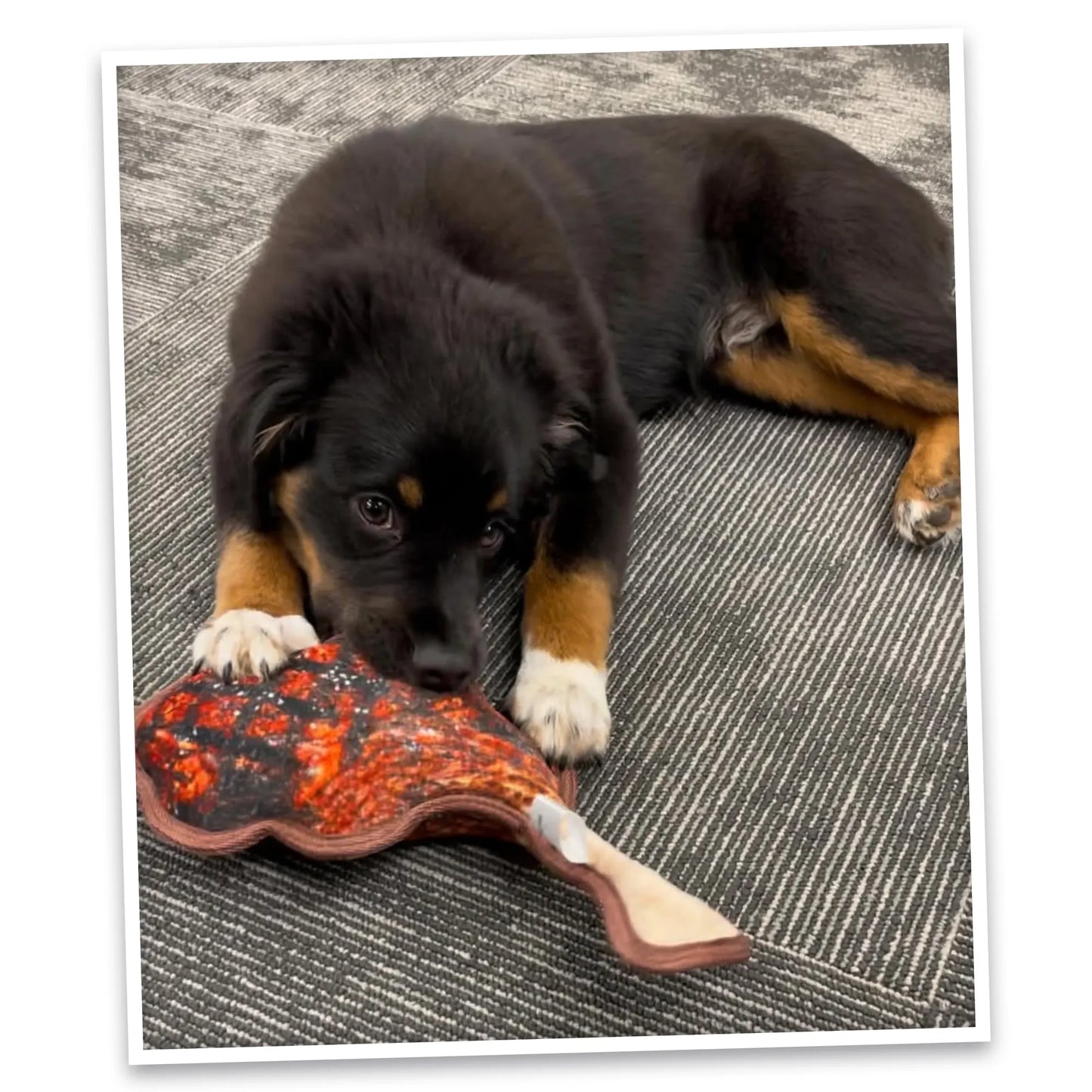 Tomahawk Steak and Mini Kebab Tuffer dog toy bundle