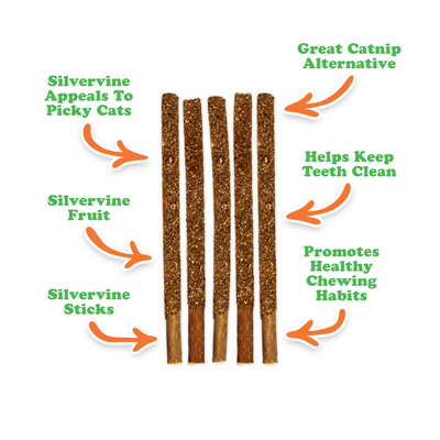 Silvervine Fruit Sticks
