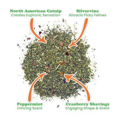 Close-up of Santa's Stash catnip blend, highlighting North American catnip, silvervine, peppermint, and cranberry.