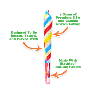 Birthday Pawty Bundle