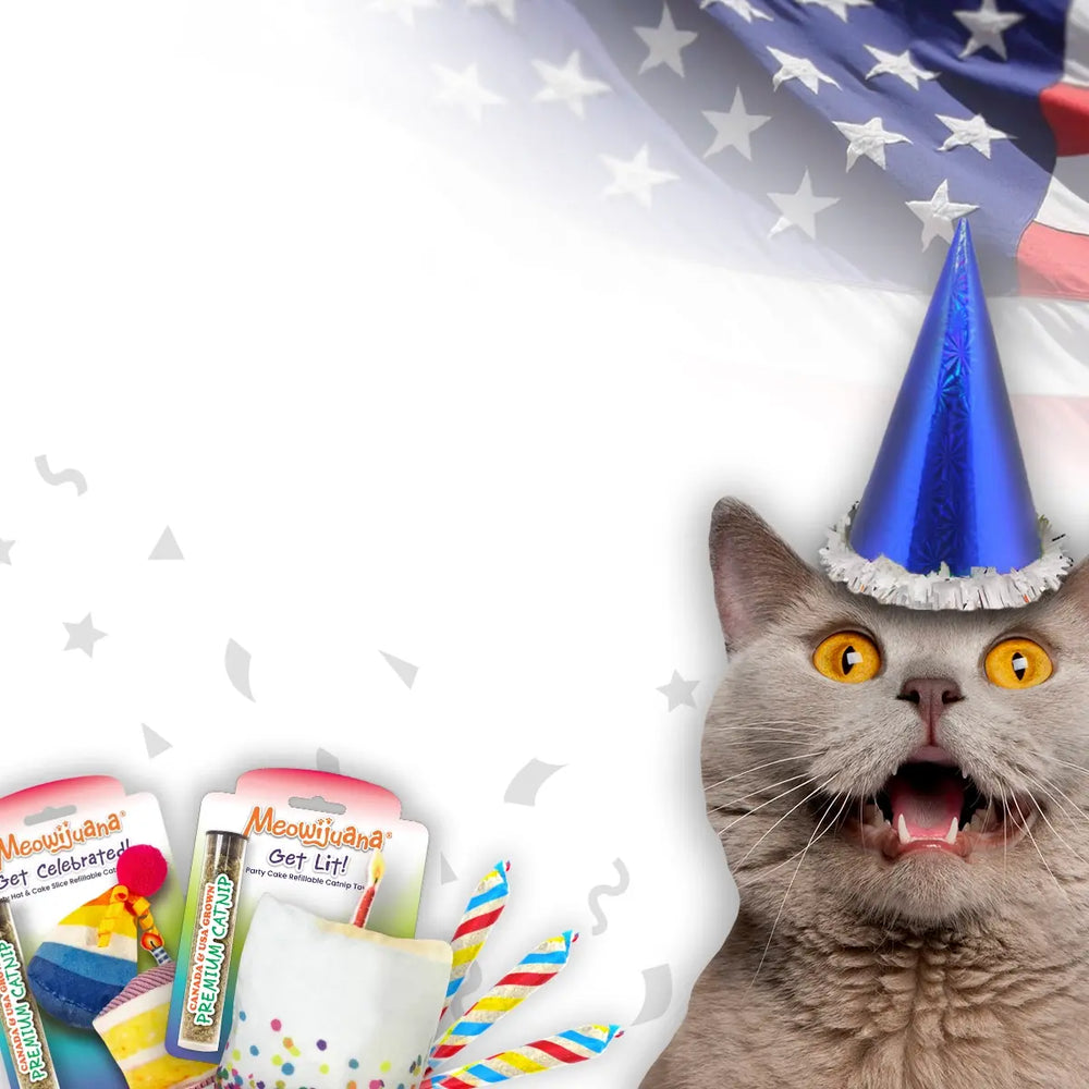 Meowijuana brand hero