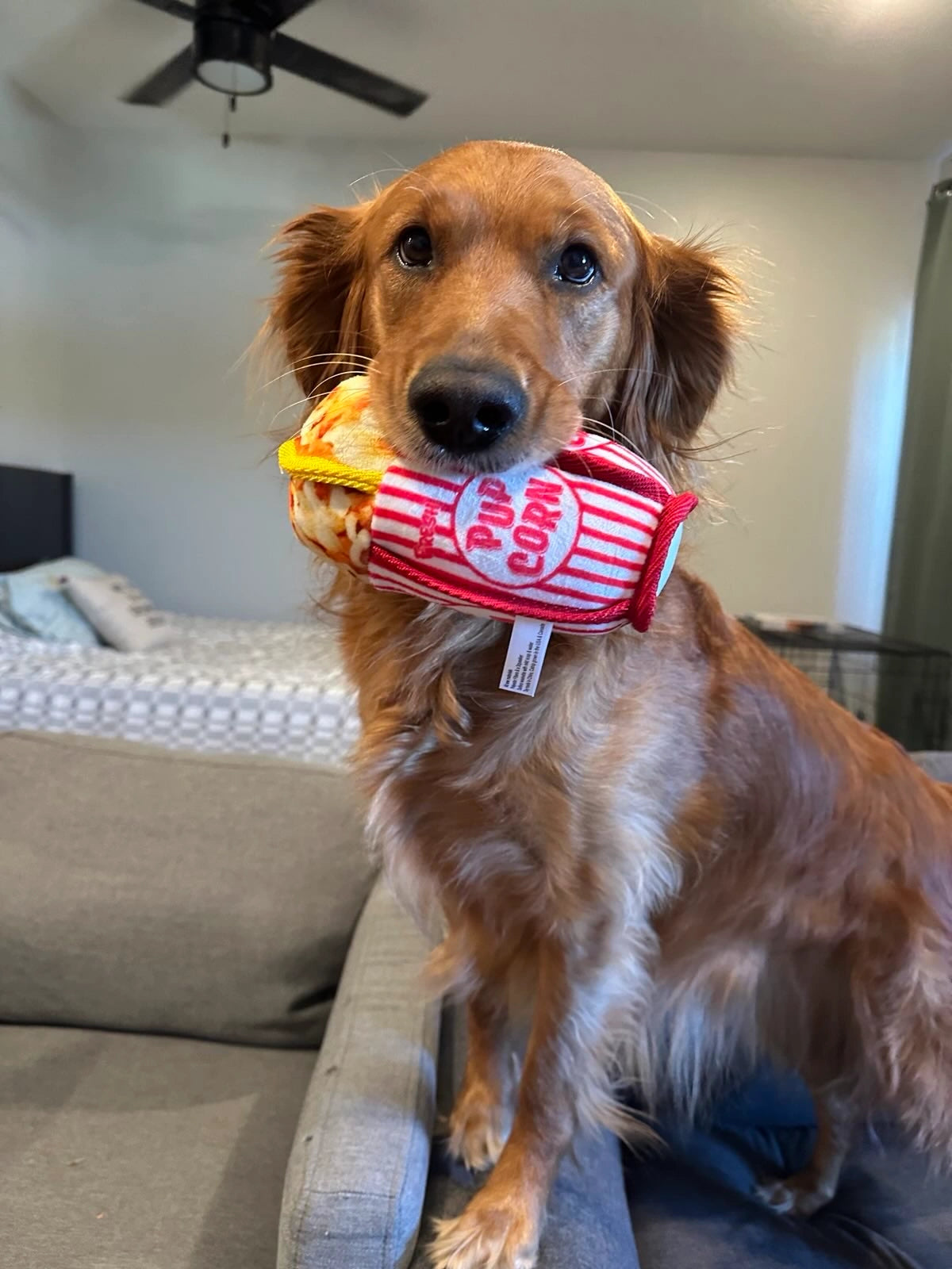 Tuffer Chewer Mini Pupcorn Refillable Dog Toy