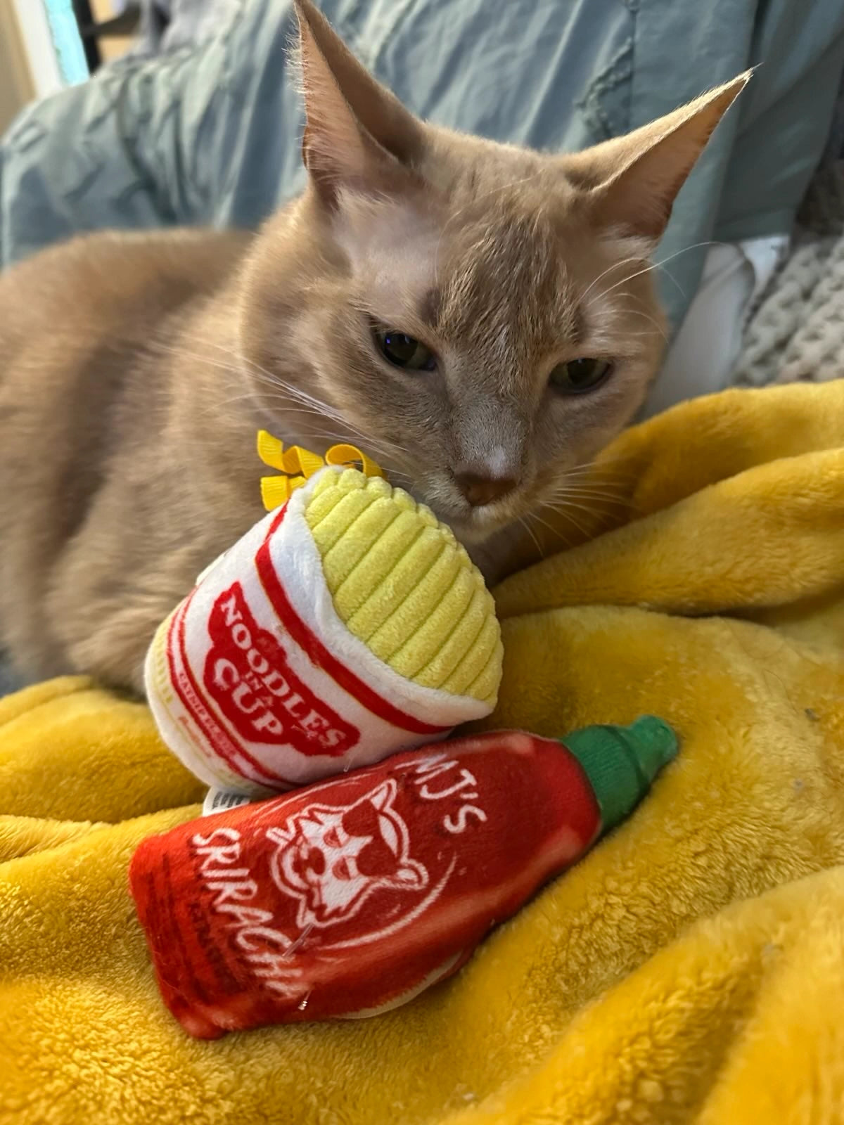 Get Noodly Noodles and Sriracha Catnip Toy 2-Pack