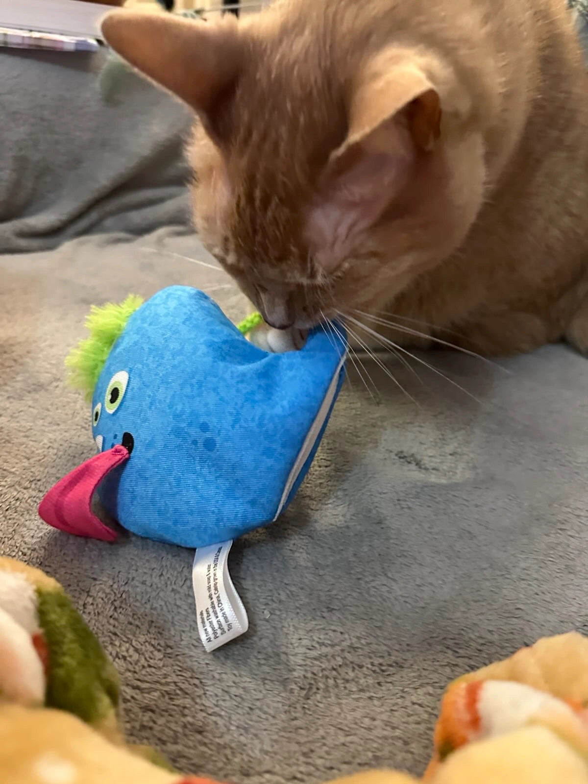 Get Silly Blue Blob Refillable Cat Toy