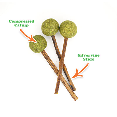 Suckers - Limited Edition Silvervine Sticks With Catnip