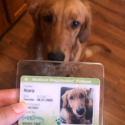 Medical Doggijuana® ID - Doggijuana