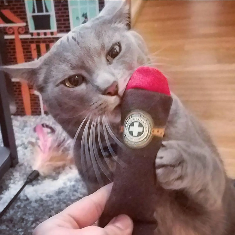 How Much Catnip Can a Cat Have?