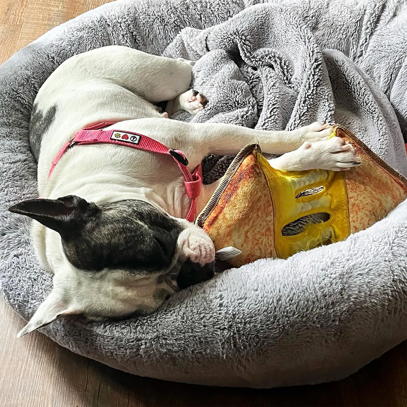 7 Ways To Keep Dogs Safe On July 4th