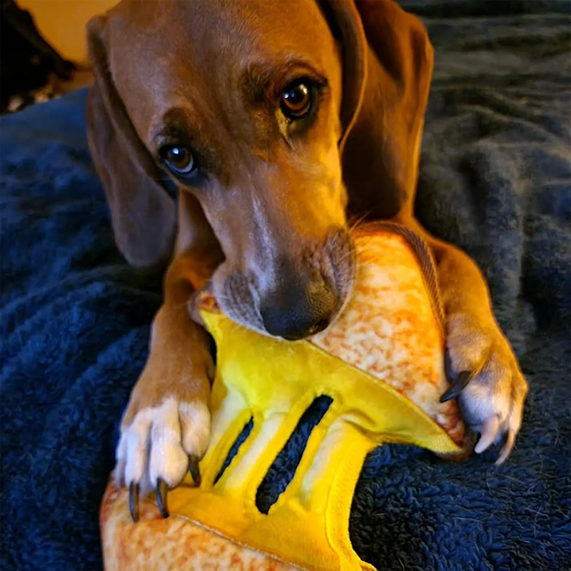 How to Use a Refillable Dog Toy