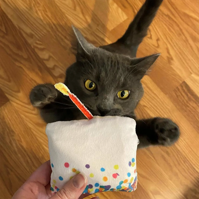 Best Catnip Toys for Cats