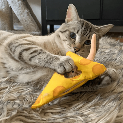 Which Catnip Blend Fits Your Cat's Personality?