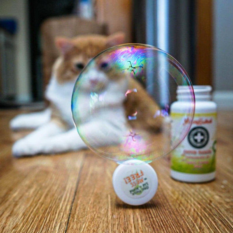 What Are Catnip Bubbles? (And Should You Try Them With Your Cat?)