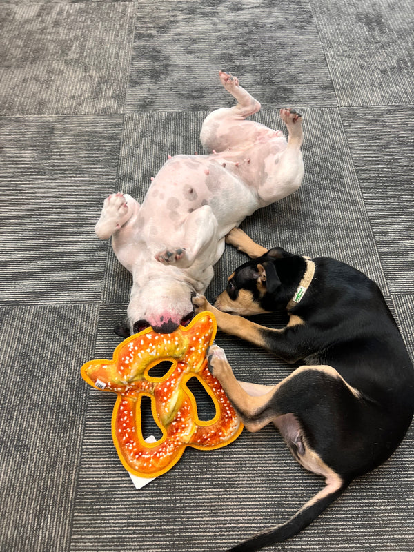Puppy Teething: The Timeline and the Chew Toolkit