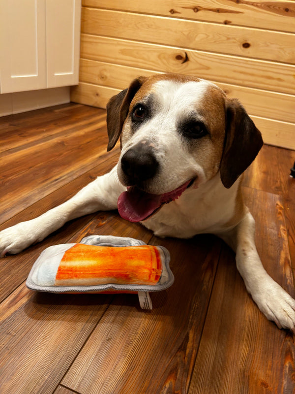 How to Keep Your Dog Busy While You're at Work