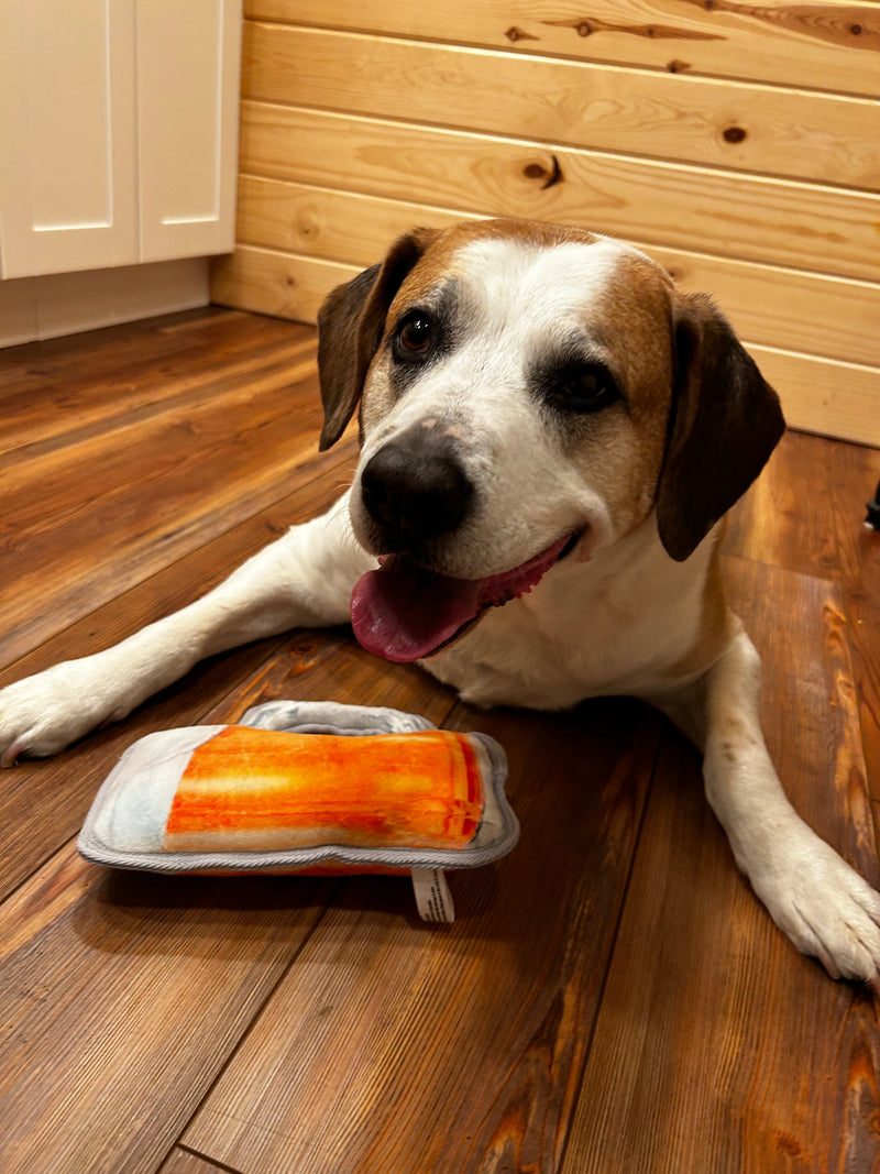 How to Keep Your Dog Busy While You're at Work