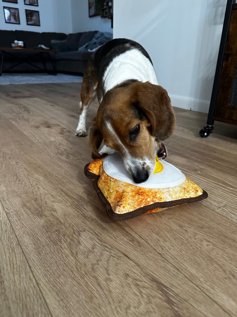 Dog Puzzle Toys: A Complete Guide