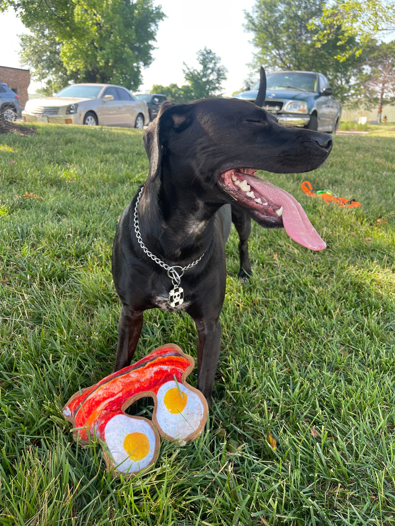 Why Do Dogs Eat Grass?
